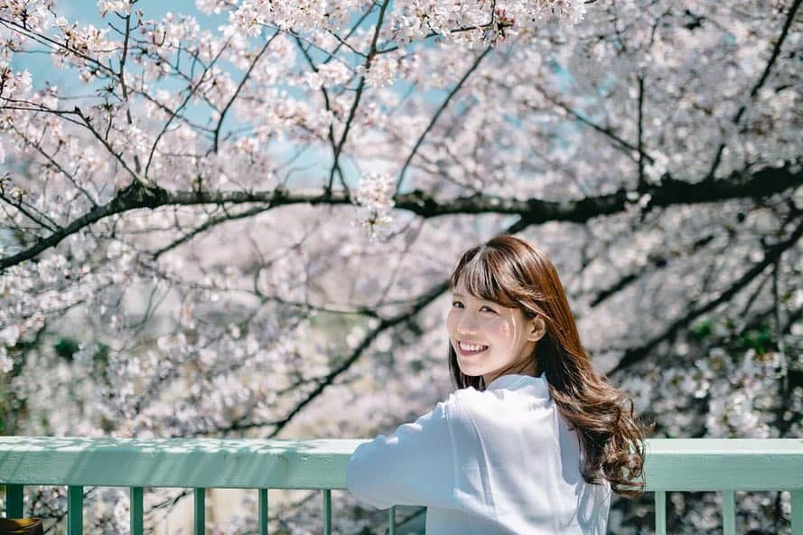 丸山裕理さんのインスタグラム写真 - (丸山裕理Instagram)「. 都内の穴場でした . It's the peak of  the cherry blossom season in Tokyo. . #sakura #cherryblossom  #cherryblossomseason #hanami  #team_jp_flower #japan_of_insta  #discovertokyo #jp_mood #jp_portrait部  #tokyocameraclub #impression_shots #art_of_japan_ #flower_special_  #桜 #桜並木 #お花見 #面影橋 #広がり同盟」4月6日 1時55分 - yuri_maruyama1213