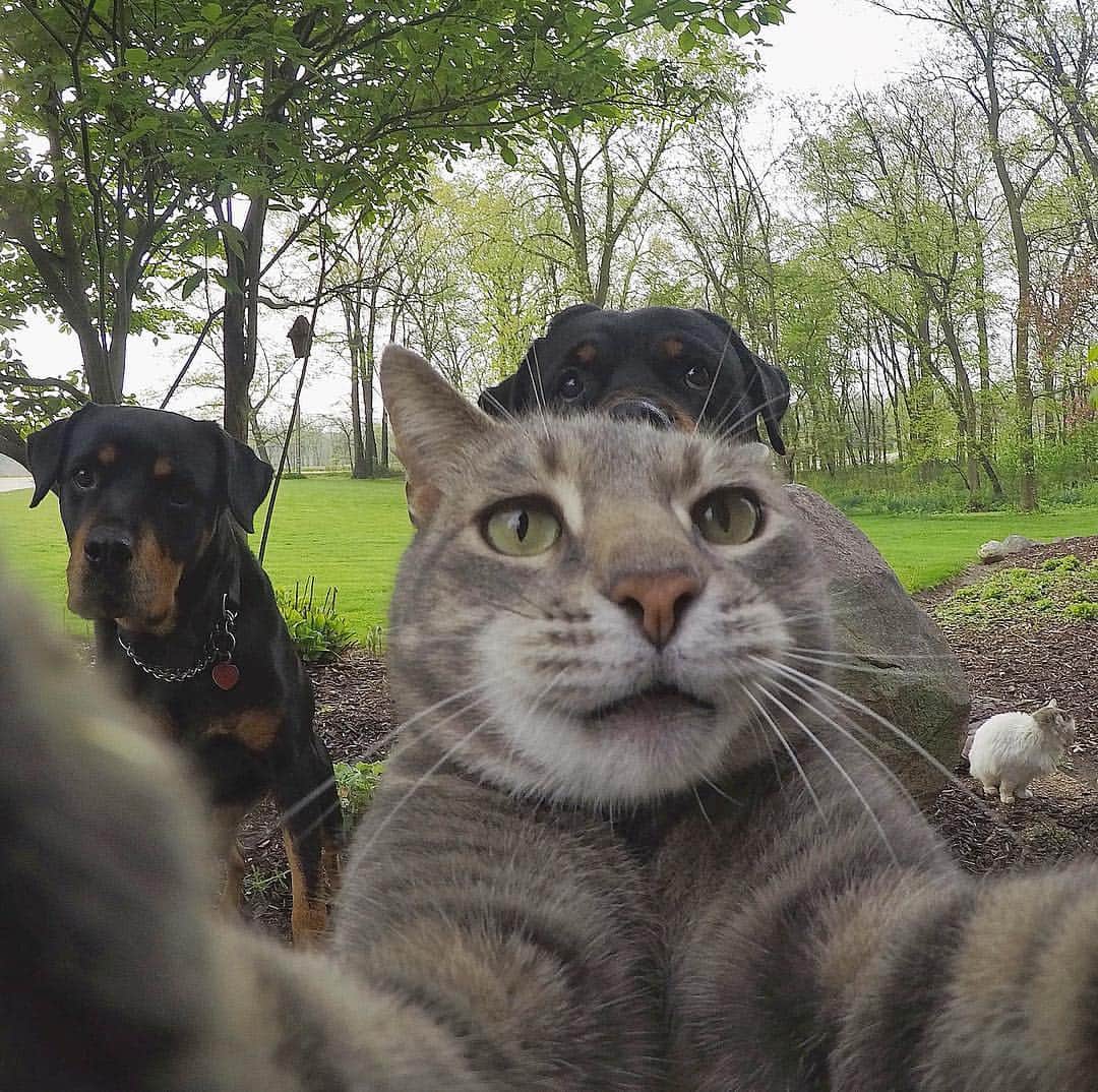 マニーのインスタグラム：「😸 Have a good weekend! #GoPro」