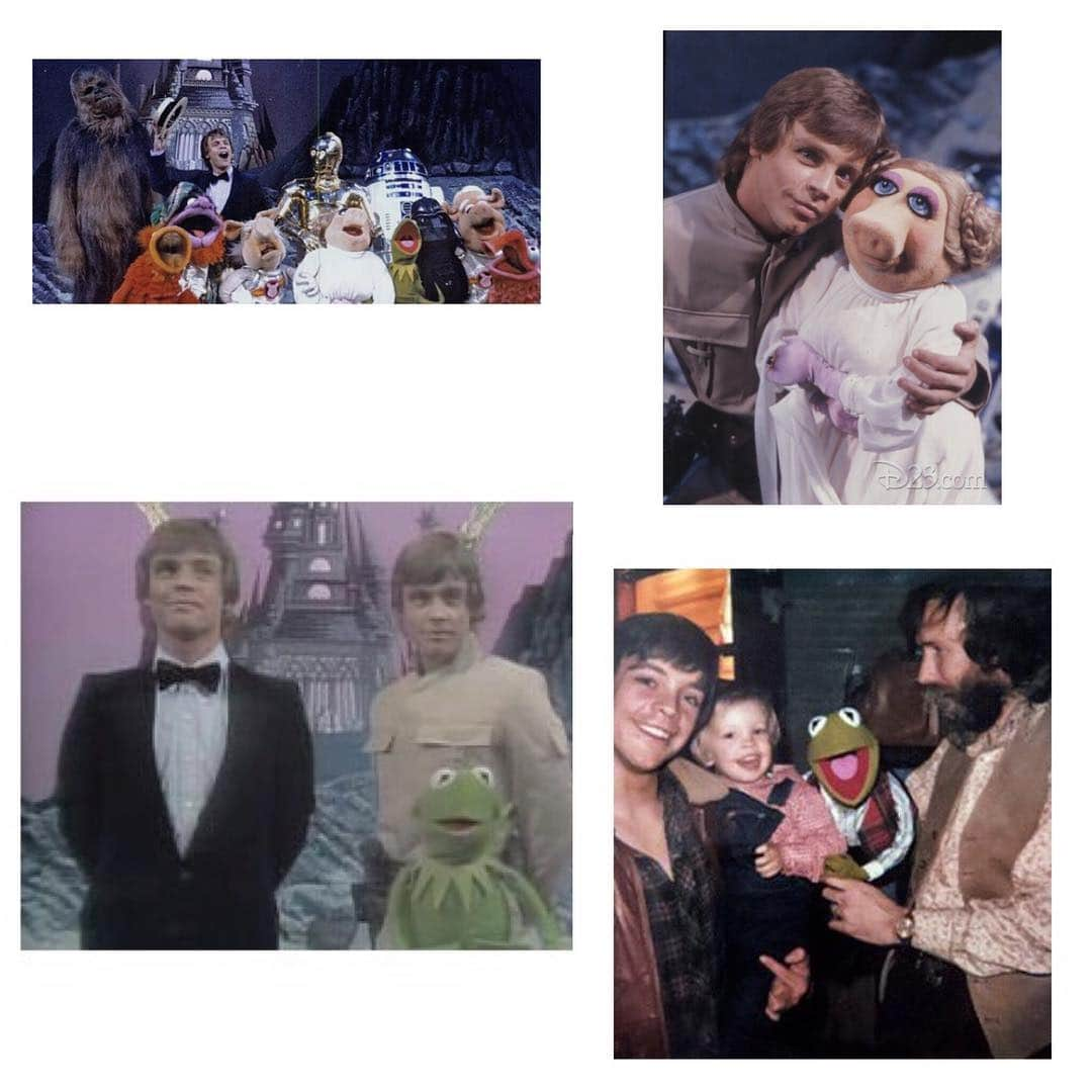 マーク・ハミルさんのインスタグラム写真 - (マーク・ハミルInstagram)「For a lifelong fan(atic) of theirs, doing #TheMuppetShow was a dream come true. FUN FACTS: 1st appearance of my #EmpireStrikesBack uniform-3 months BEFORE the film's release. Also-@NathanHamill was so young when he saw the show he was genuinely shocked his dad had a "twin"! 🐸🐷」4月6日 2時47分 - markhamill