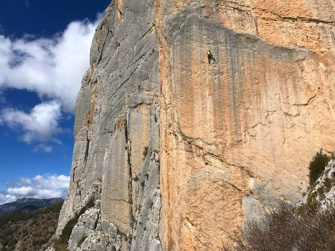 ニナ・カプレツさんのインスタグラム写真 - (ニナ・カプレツInstagram)「So much good rock around Verdon! Teillon is a perfect spot for really cold days (near Castellane). The rock is very sharp and pure. It’s worth to check out and te leave some skin...😜 📸Ann capturing me on a 40m long 8b on very tiny holds, where I failed on the last meter on my first go and then lost all my skin to give it another one...😬 #teillon #scarpaclimb #helmetup  @arcteryx @petzl_official @scarpaspa」4月6日 3時37分 - ninacaprez