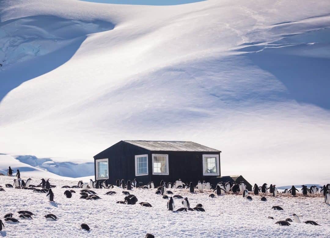 National Geographic Travelさんのインスタグラム写真 - (National Geographic TravelInstagram)「Photo by @acacia.johnson | Gentoo penguins nest around a building at González Videla Base, a Chilean research base in Paradise Bay, Antarctica. The station, active from 1951-58, is today only occasionally visited by tourists and Chilean parties, leaving the area free to be overtaken by nature. Today, it's one of my favorite places in Antarctica to cruise by small boat, taking in the striking contrasts of the buildings, mountains and dense wildlife. Follow me at @acacia.johnson for more stories from the Polar Regions and beyond. #Antarctica #researchbase #penguins」4月6日 4時02分 - natgeotravel