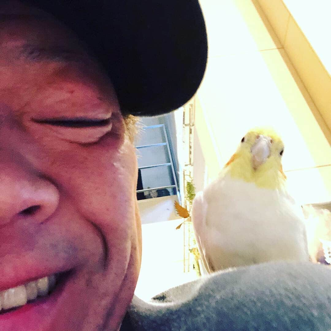 玉袋筋太郎さんのインスタグラム写真 - (玉袋筋太郎Instagram)「オレは悪か？」4月6日 4時05分 - sunatamaradon