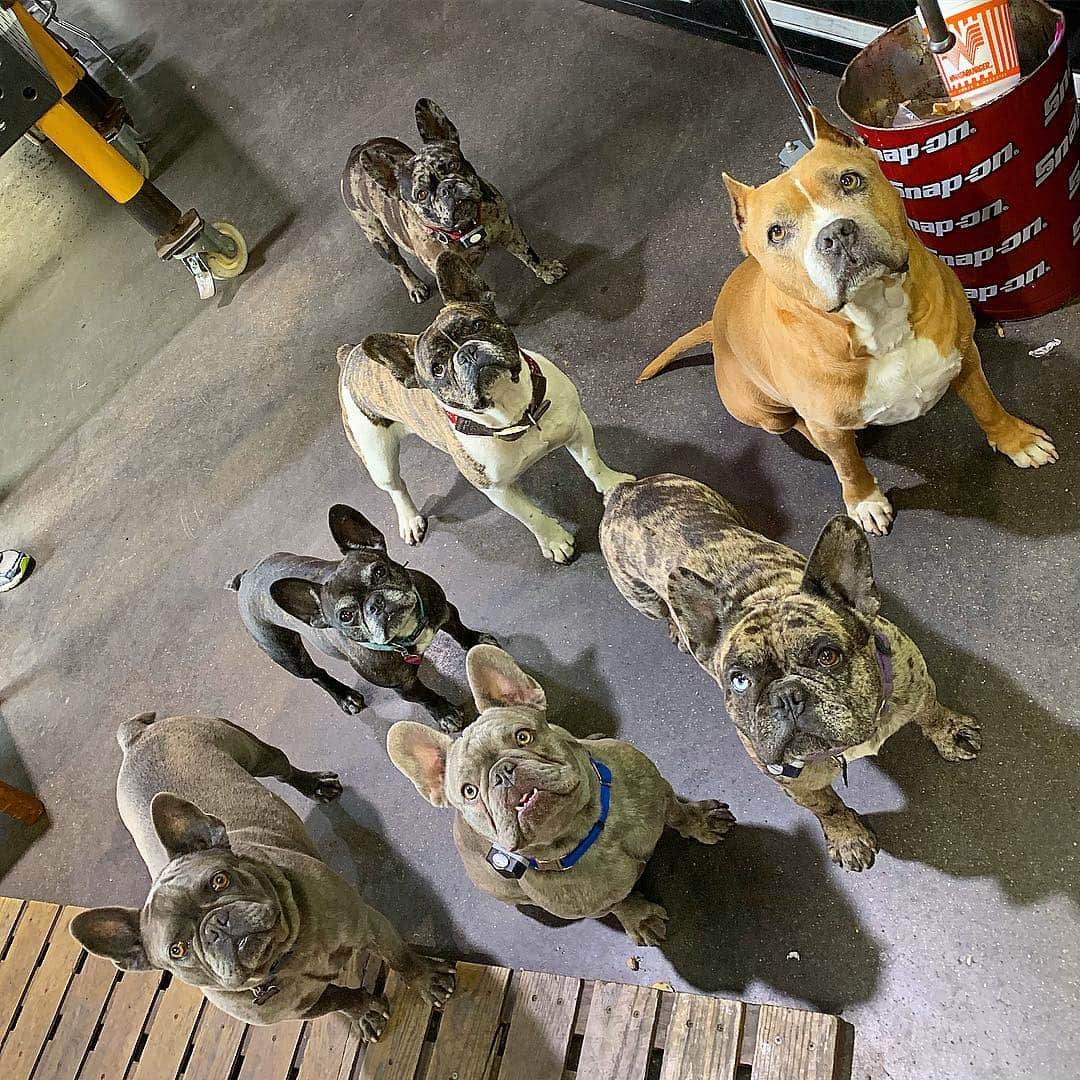ウエストコーストチョッパーズのインスタグラム