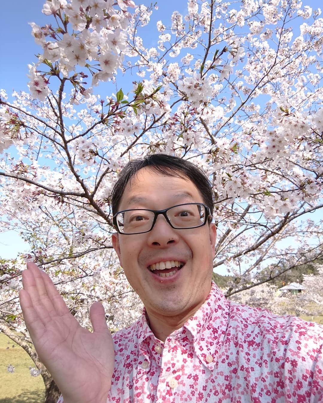 粉川真一さんのインスタグラム写真 - (粉川真一Instagram)「サクラ満開！ いらっしゃ～い」4月6日 16時34分 - mrt.kokawa