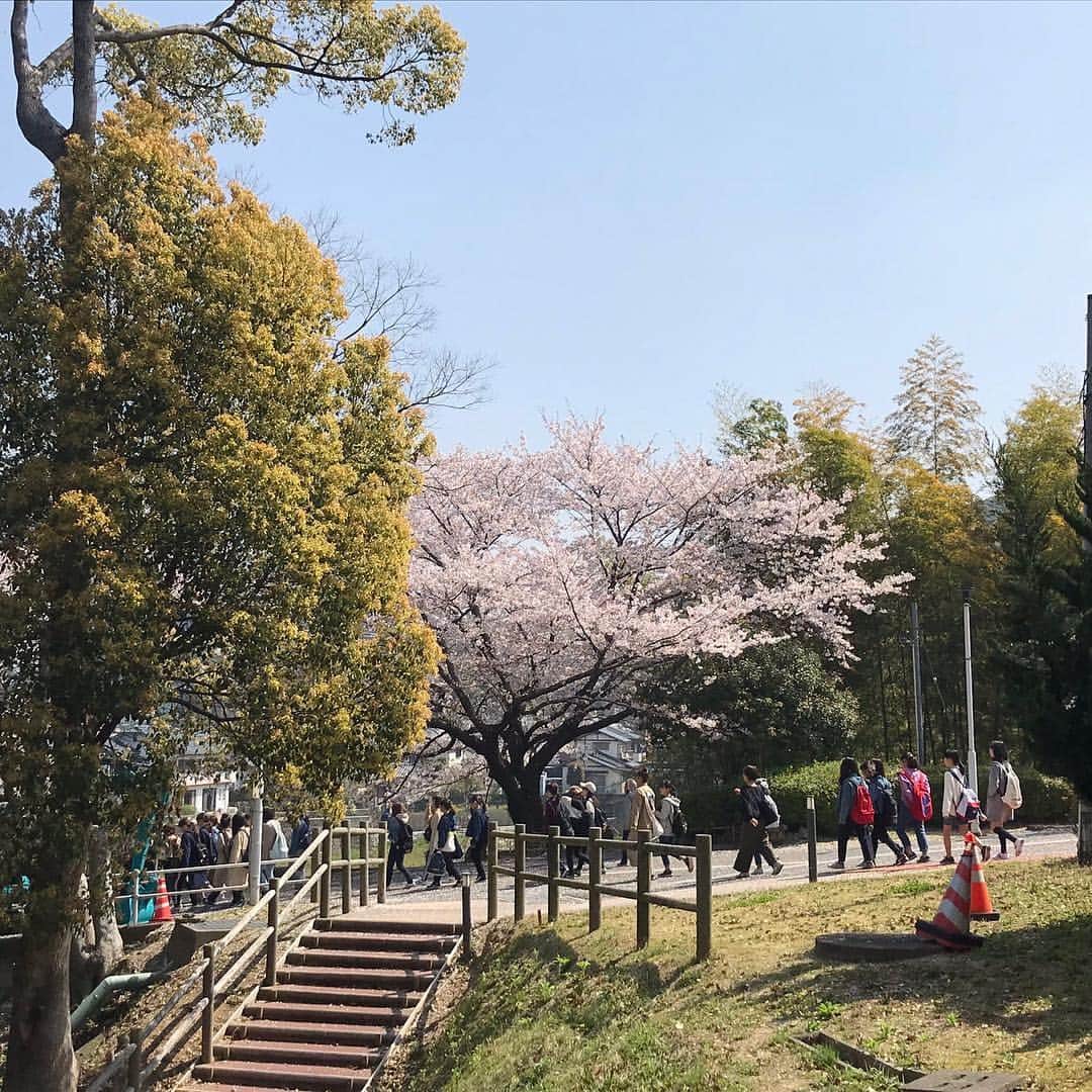 福岡女子短期大学のインスタグラム