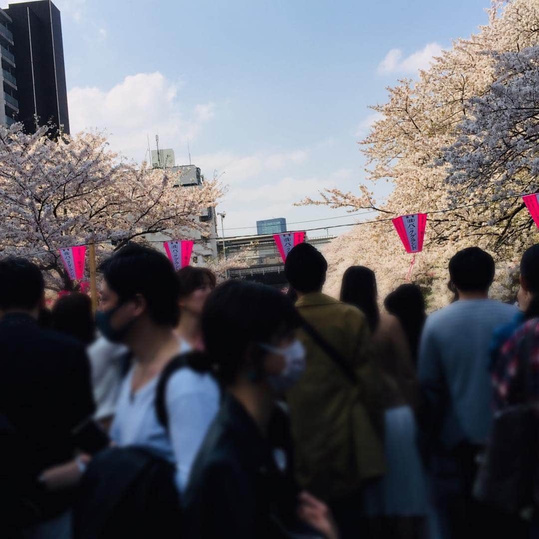 川崎麻世さんのインスタグラム写真 - (川崎麻世Instagram)「仕事の合間スーツ姿で、目黒川にお人見に行って来ました🌸❌👨‍👩‍👦‍👦👨‍👨‍👧‍👦」4月6日 15時42分 - mayokawasaki