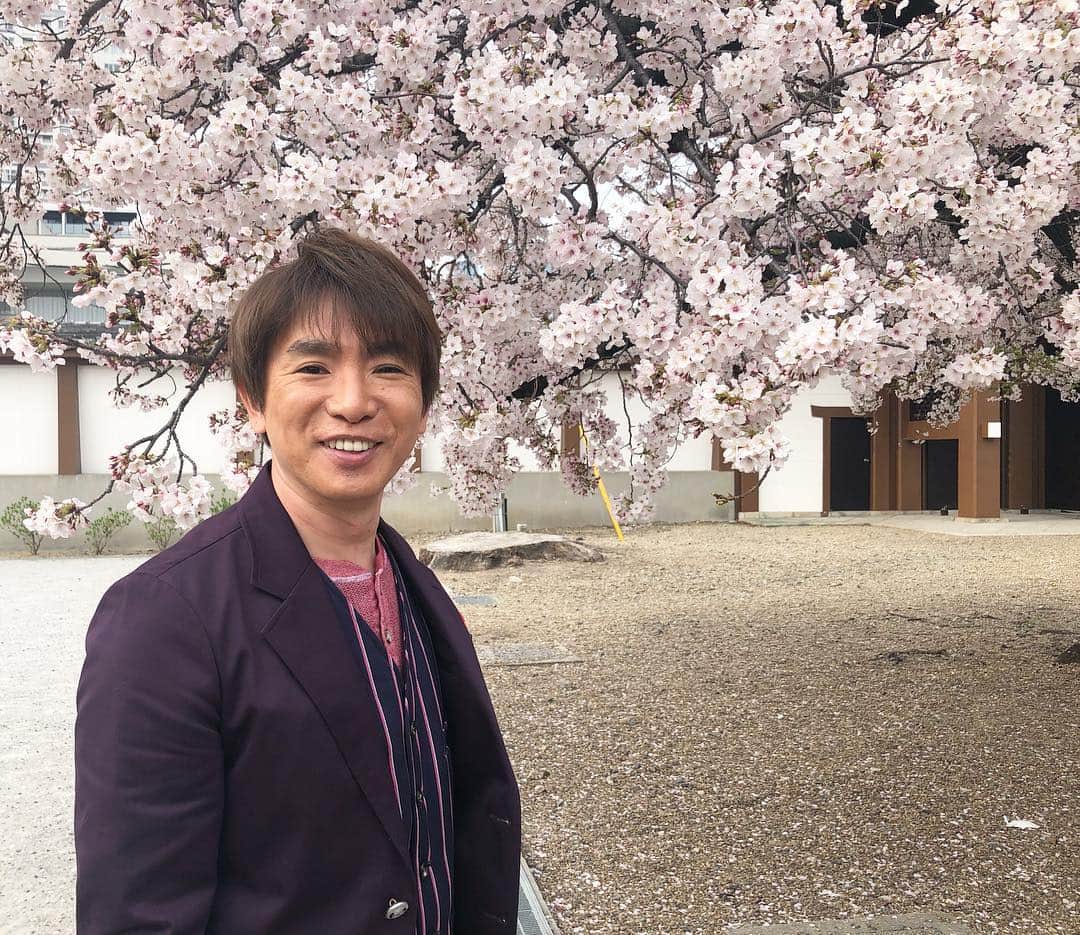 島津咲苗さんのインスタグラム写真 - (島津咲苗Instagram)「濱口さん(@hamaguchi_masaru )と撮り合いっこ📸しました♪  #桜 #撮影会 #東別院 #満開の桜 #メーテレ #デルサタ」4月6日 15時57分 - sanae_shimazu