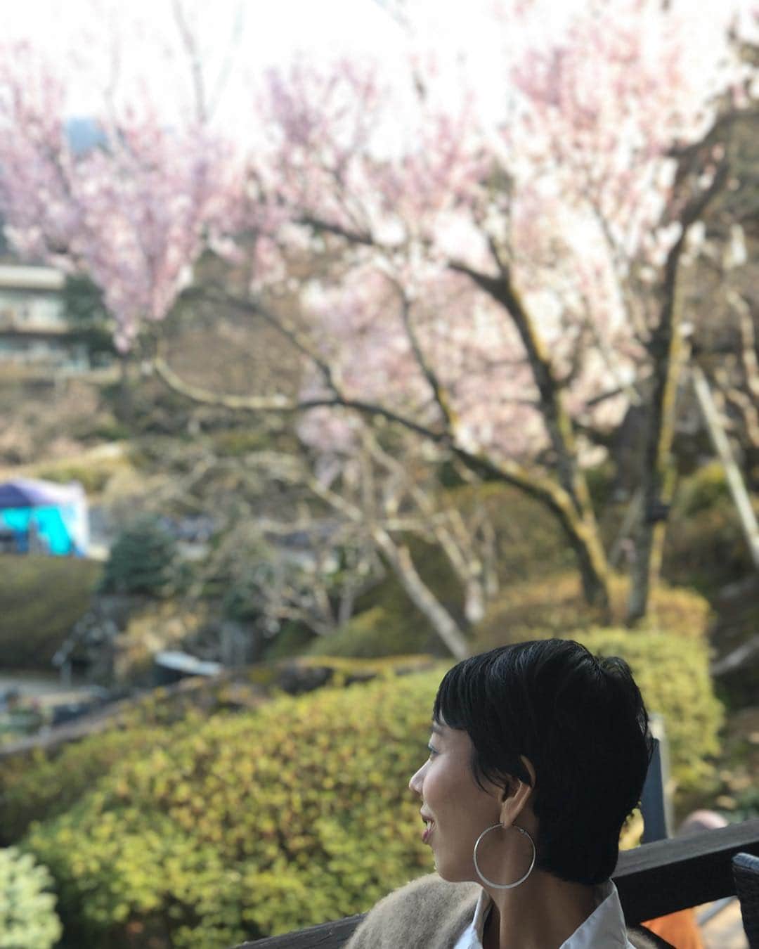 LOVEのインスタグラム：「気持ちよすぎる箱根強羅公園。 お越しいただいたみなさまありがとうございます🌸引き続き良い春の日を！  まったり1stのあとは 17:30からライトアップもかなり素敵らしいです、2ndは夜アゲセットいってみましょうかね」