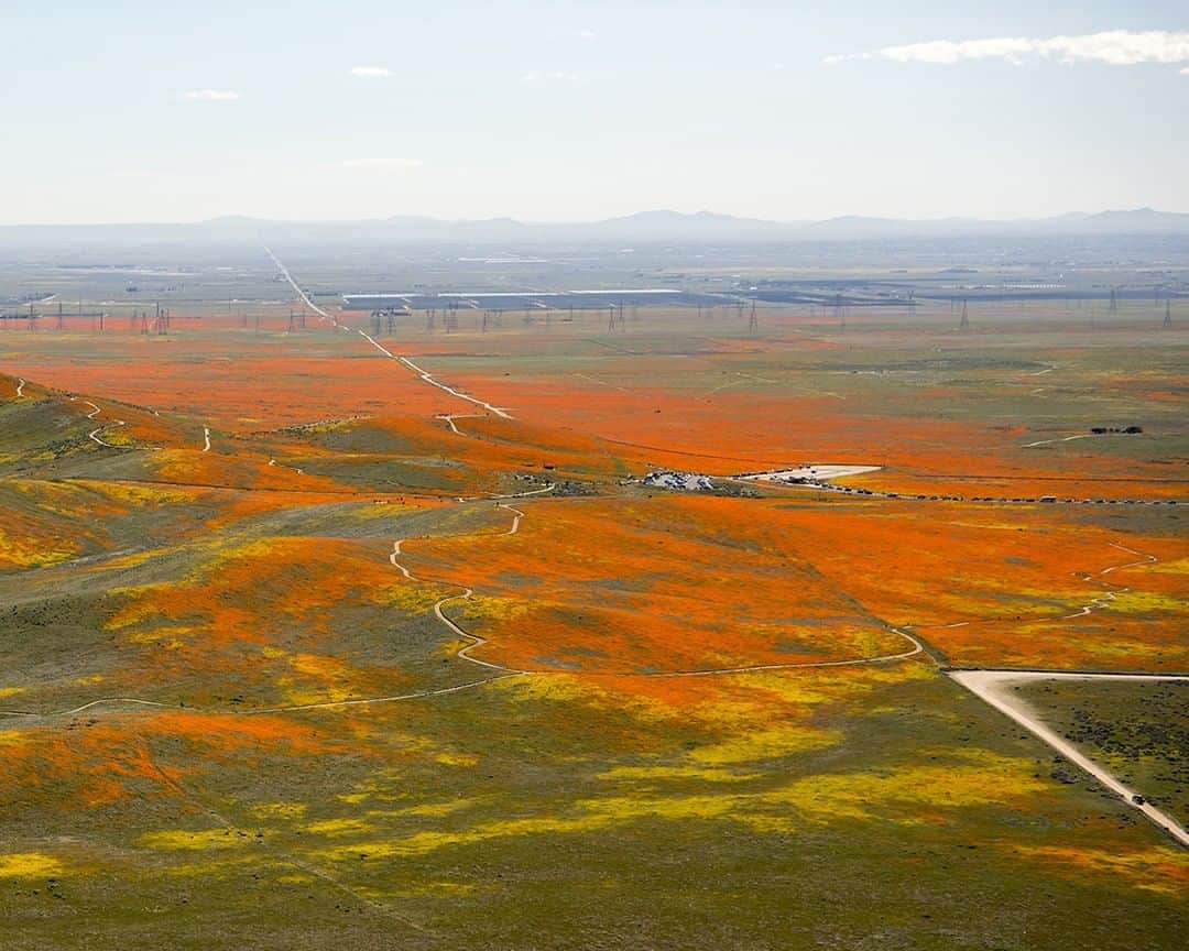 NASAさんのインスタグラム写真 - (NASAInstagram)「No, this is not a mirage. That desert is blooming! Due to a very rainy winter season for the Antelope Valley in California, the desert is covered with a canopy of yellow wildflowers and orange blooming poppies. 💐 This colorful view was captured by our pilots from nearby @NASAArmstrong Flight Research Center!  Image Credit: NASA/Jim Ross  #Earth #Wildflowers #Desert #NASA #Spring #California」4月6日 8時09分 - nasa