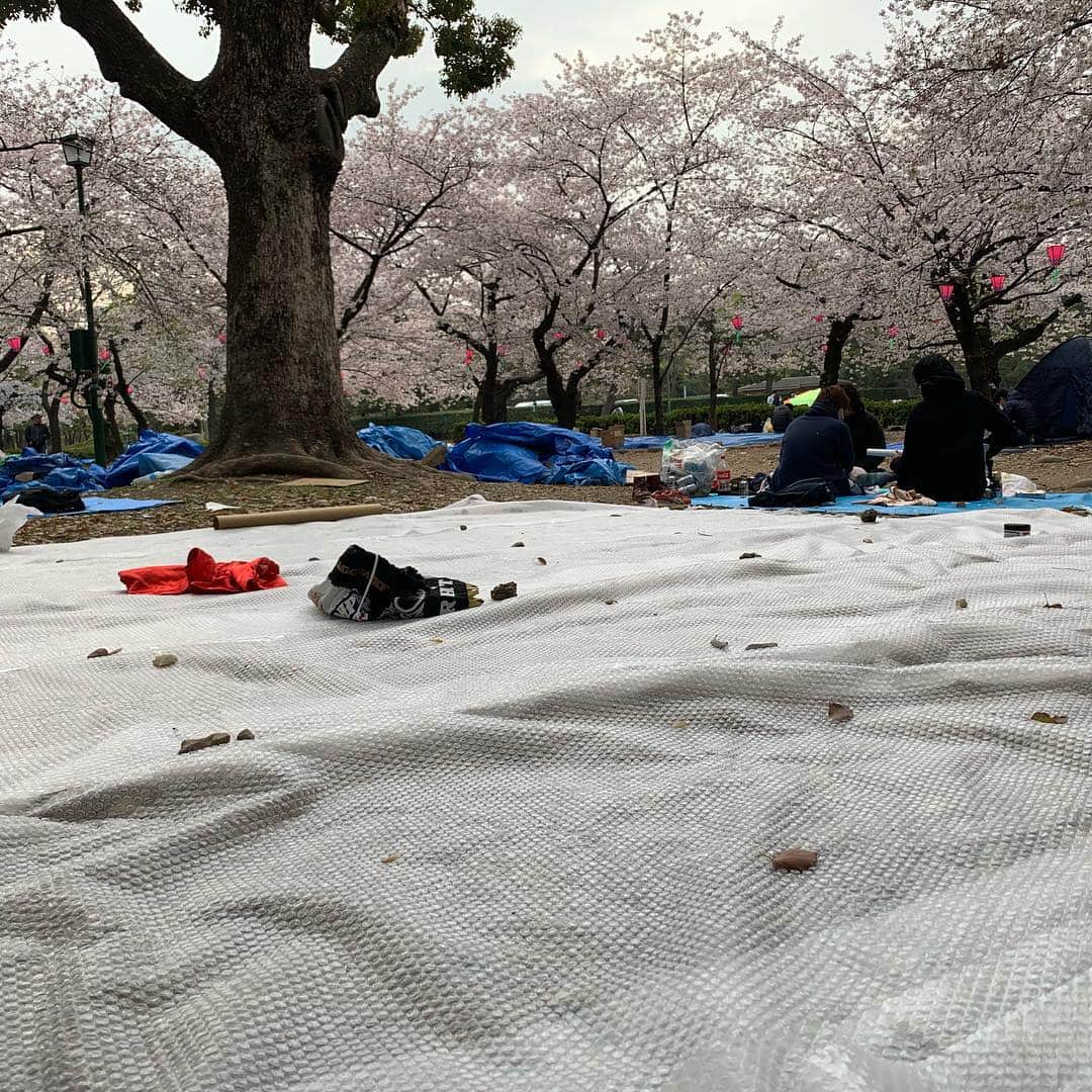 佐藤嘉洋さんのインスタグラム写真 - (佐藤嘉洋Instagram)「‪ここで7時から場所取りしてます。‬ ‪一人好きなので、案外楽しいです。‬ . ‪11時30分集合、12時開始でダラダラ鶴舞公園でJKFのお花見やります。‬ . ‪私はそのまま東京出張のため15時過ぎに帰ります。‬ . ‪参加費3000円。‬ ‪おいしい焼き鳥とドリンク付きです。‬ ‪参加時間によっては適当に割引しますのでお気軽に。‬ #お花見 #読書 #鶴舞公園」4月6日 8時29分 - yoshihirosato1981