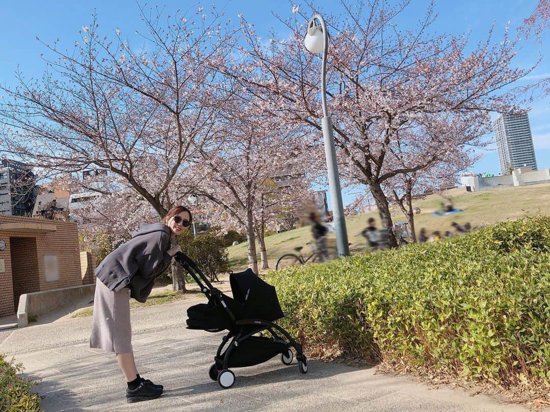 丸高愛実さんのインスタグラム写真 - (丸高愛実Instagram)「ちょこっとお花見🌸綺麗🥰  #お花見 #桜 #さくら #cherryblossom」4月6日 8時33分 - marutakamanami