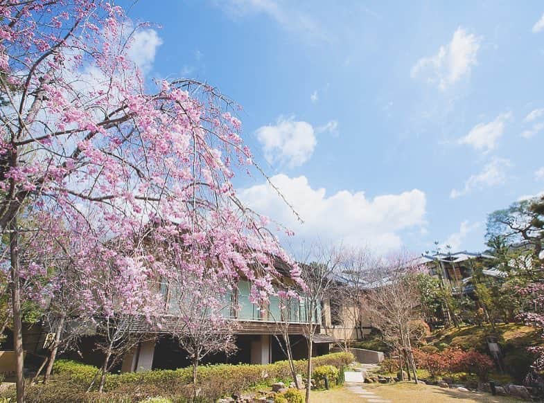 桜鶴苑のグルメインスタ