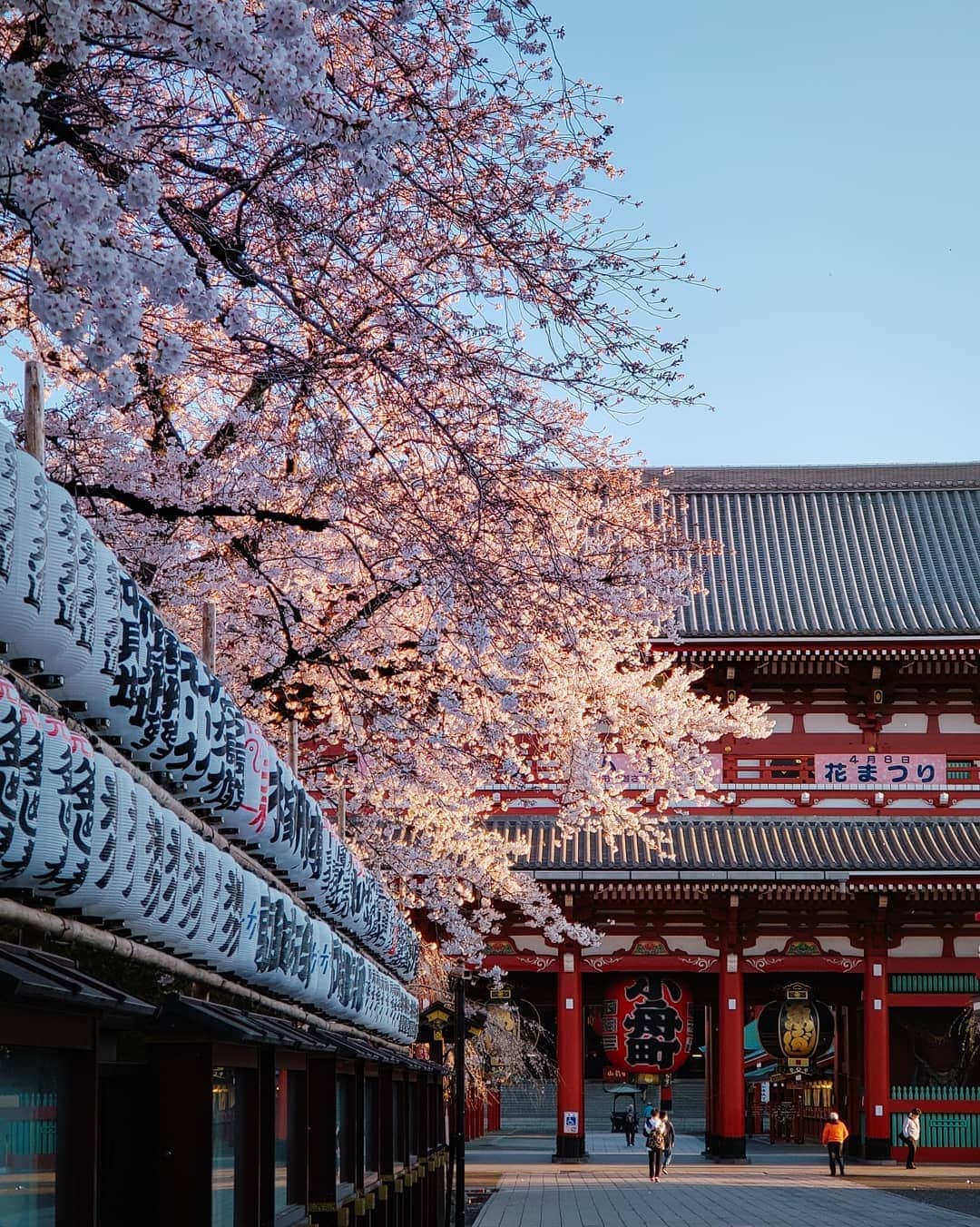 Galaxy Mobile Japanさんのインスタグラム写真 - (Galaxy Mobile JapanInstagram)「週末はGalaxyのインスタを見て、お出かけ先を決めよう！東京 #お花見 特集！ #隅田公園桜まつり で撮れた桜と #人形町 ツアー💕 Galaxyで撮れた桜の写真は、#Galaxyカメラ部 を付けて投稿してね✨ Galaxyの公式Instagramアカウント（ @galaxymobilejp ）で紹介するかも！ 📸#GalaxyNote9 #Noteのある生活 #withgalaxy Photo by @_tuck4」4月6日 9時00分 - samsungjpn