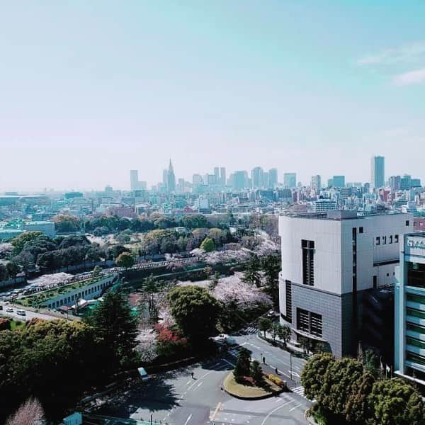 ホテル ニューオータニさんのインスタグラム写真 - (ホテル ニューオータニInstagram)「What a sight to behold! Cherry blossom trees look beautiful even from a distance. 近くから見上げるお花見だけでなく、遠景の見下ろすお花見も愉しんで。 #ホテルニューオータニ  #ニューオータニ  #四ツ谷  #桜 #お花見 #cherryblossoms  #sakura  #yotsuya #beautifultokyo @hotelnewotanitokyo #newotanitokyo」4月6日 9時13分 - hotelnewotanitokyo