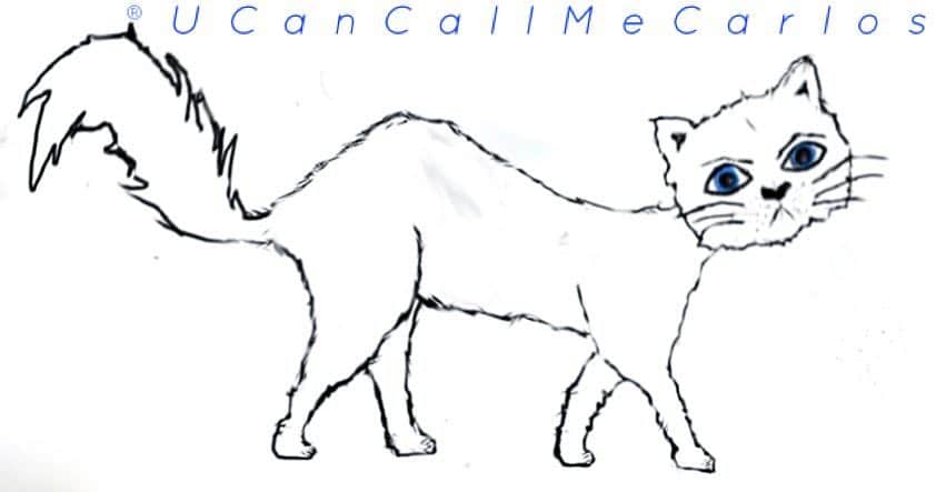 ケイティ・キャシディさんのインスタグラム写真 - (ケイティ・キャシディInstagram)「Here’s my very own #FanArtFriday of my little dude CARLOS @ucancallmecarlos #catsofinstagram」4月6日 9時08分 - katiecassidy