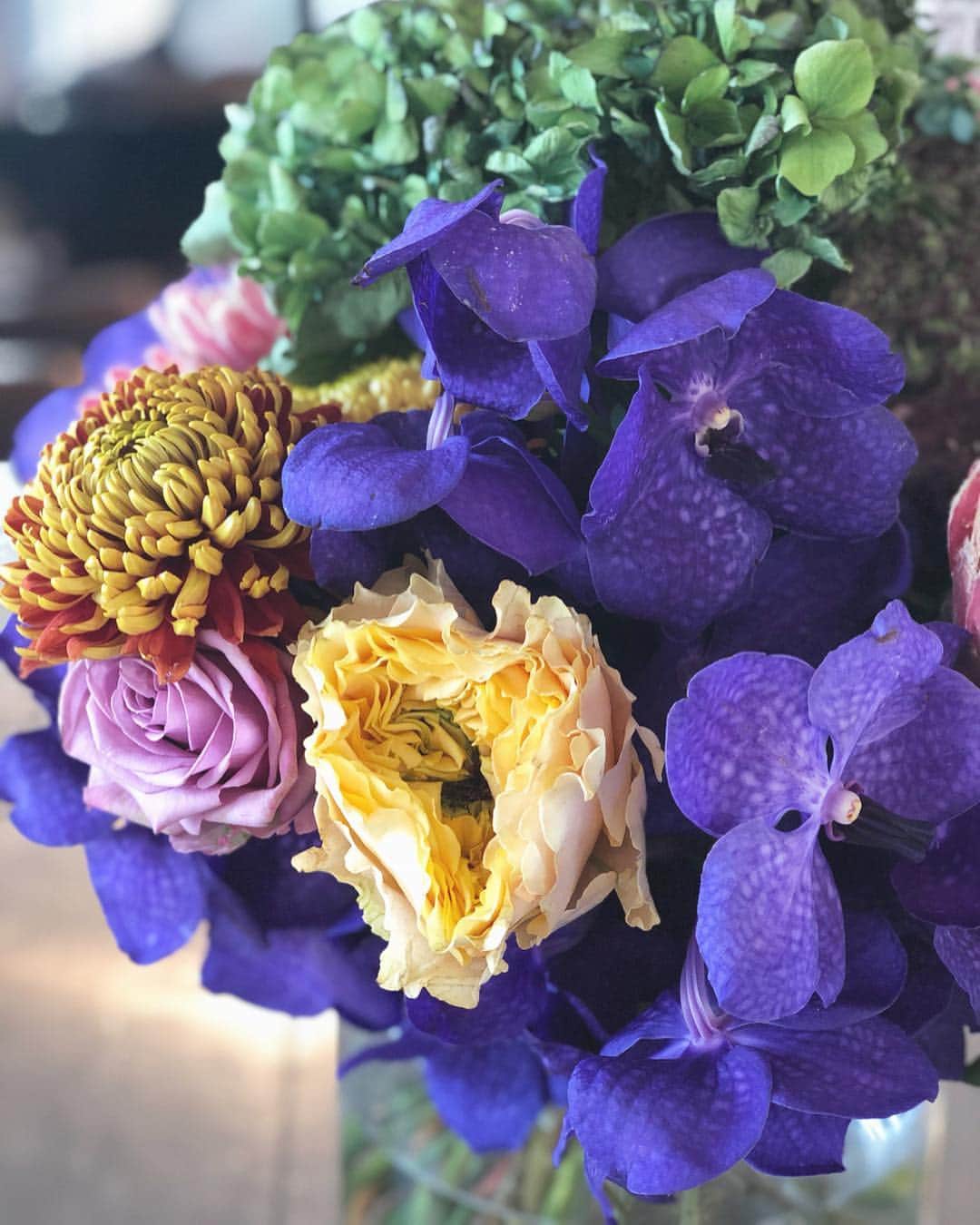 神崎恵さんのインスタグラム写真 - (神崎恵Instagram)「朝陽の心地よさで目覚めました。 鮮やかな週末をお過ごしください😌 そして、今日はイベント。 お気をつけてお越しください。 楽しみに楽しみにお待ちしております。」4月6日 9時21分 - megumi_kanzaki