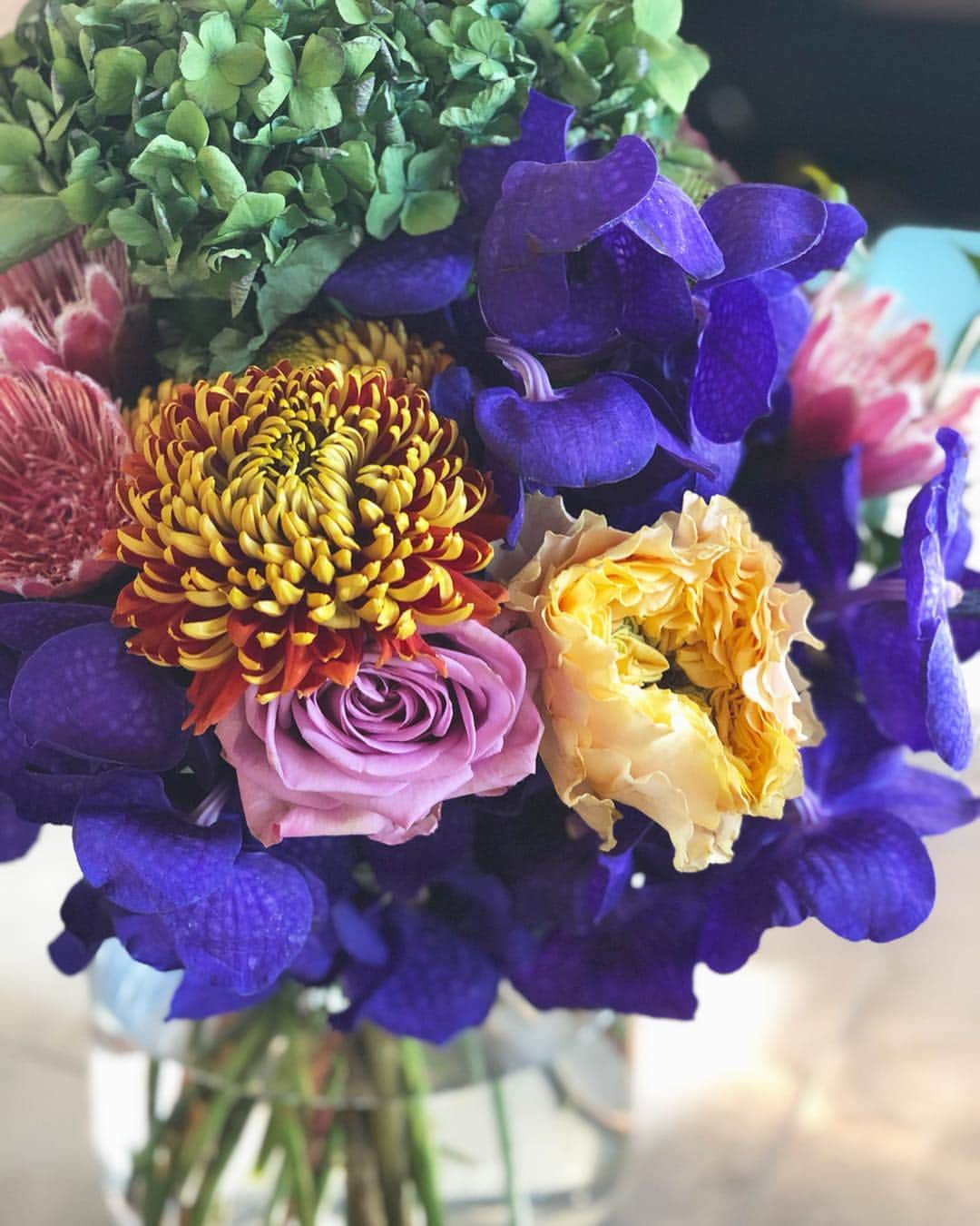 神崎恵さんのインスタグラム写真 - (神崎恵Instagram)「朝陽の心地よさで目覚めました。 鮮やかな週末をお過ごしください😌 そして、今日はイベント。 お気をつけてお越しください。 楽しみに楽しみにお待ちしております。」4月6日 9時21分 - megumi_kanzaki