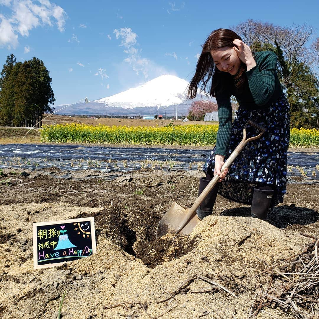 Hiromi Tomiiさんのインスタグラム写真 - (Hiromi TomiiInstagram)「4月1、2で#静岡県#小山町　へ . . #富士山頂と金太郎のまち . . . . 富士スピードウェイがあったり、金太郎の生誕の地だったり富士山頂がある町(^-^) . . 今回は車で来ました！ 東京駅からナビで1時間20分(^-^) 今回はみさ子と◎ . 富士霊園 →手作りハム のお店ando →飴屋→きくや→わさび漬丸中→目黒地蔵通り御門屋→道の駅ふじおやま→お写真は　#農家民宿このはな　さん . こちら最近オープンしたのですが、 前から気になっていて今回はこちらへ宿泊(^-^) 農家ならではのいろんな体験ができます！ ついてから、まずお茶を炒る体験。香りが芳ばしくなり、美味しい！ そして、夜ご飯で食べる、薫製を体験。 それから、ひのきを削ってマイお箸作り。 夜ご飯で食べるお団子作り。 夜ご飯はお写真最後とっても体にいいデトックスメニュー＼(^-^)／ よるのおふろに、お箸作りの時に出たひのきの削りかすを、袋に入れてお風呂に入れてもらったの。ひのきぶろ(^-^) 香りがよくて癒されました(^-^) . . 翌朝、朝イチで畑へ！ 富士山を眺めながら 里芋を掘ったり、ネギの収穫や、大根の収穫、 駆け回ったりしました。 収穫したものは朝ごはんて食べれます◎ . . . @_konohana 小山町の宏美の投稿は　→#宏美in小山町　で、 過去の投稿も見れます＼(^-^)／是非参考に💕 . . #小山に行きたい#小山町旅行#MtFuji#fujiyama#oyama#oyamajapan#shizuoka#trip#oyamatrip #女子旅#コーデ#きょコ #fashion #fashiongram  #currentlywearing #outfitpost #fashionpost#旅行コーデ#旅行好きな人と繋がりたい #写真好きな人と繋がりたい  #pr#トップス：#jferry_ins @jferry.jp (A31-118-10011)」4月6日 9時13分 - hiromi.tomii