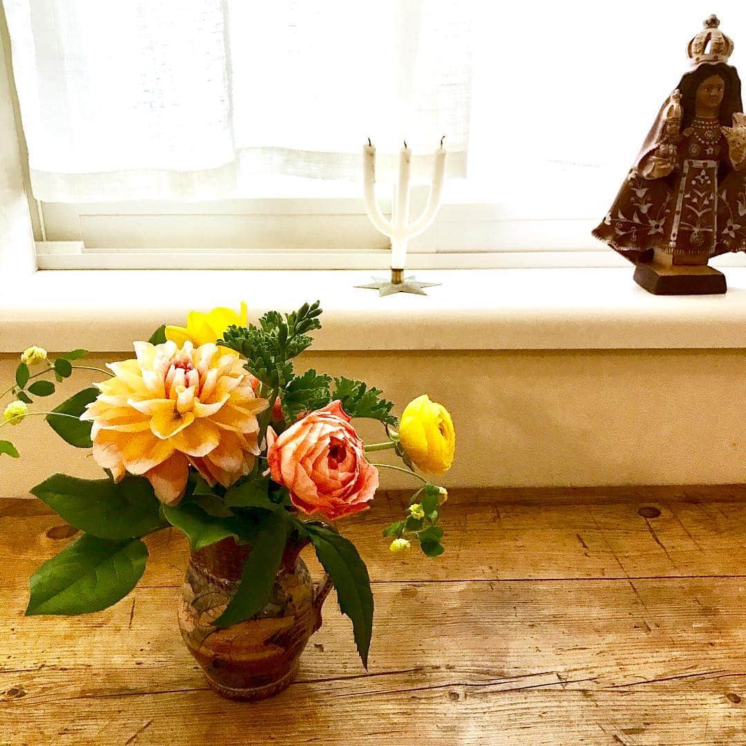 光野桃さんのインスタグラム写真 - (光野桃Instagram)「昨晩いただいた花束が、朝起きて見ると茎をぐんと伸ばして、生き生きと咲いているの、なんだか嬉しい。  #優しい花を個性的な花瓶に #リトアニアのルータさんのジャグ #ltshop #えっちゃんありがとう」4月6日 9時16分 - mitsuno.momo