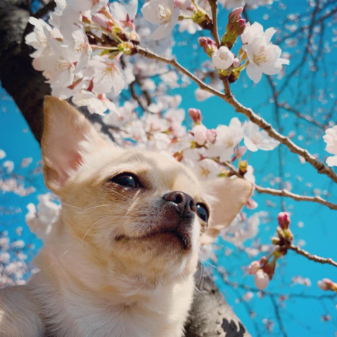 巴田みず希のインスタグラム