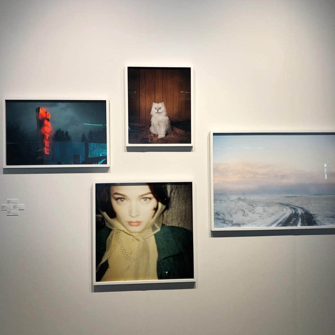 大塚良子さんのインスタグラム写真 - (大塚良子Instagram)「シノさん @shinotakeda のお誘いで今年もAIPAD photography show NYへ✨﻿﻿ 錚々たる写真家達から未開拓なフォトグラファーまで一挙に観れて大満喫﻿﻿﻿﻿ ﻿﻿﻿﻿ そして初めましてのカヒミカリィさん  @kahimikarie_official お会いできて嬉しかった！✨ NYの子育てについても色々教えてもらって、﻿やっぱりこっちの子育て楽しそうだなーとワクワク。﻿ しかもとてもお美しい。﻿ ﻿﻿﻿﻿ NYもやっと暖かくなってきて良いシーズン。﻿﻿﻿﻿ ﻿﻿﻿﻿ #nyc #photographyshow #AIPAD﻿﻿﻿﻿ #robertfrank #williamklein#DianeArbus ﻿﻿﻿﻿ #shomeitomatsu #GottfriedJager #SaulLeiter﻿﻿﻿﻿ #manray #alexwebb #toddhido」4月6日 9時36分 - ryokokonami