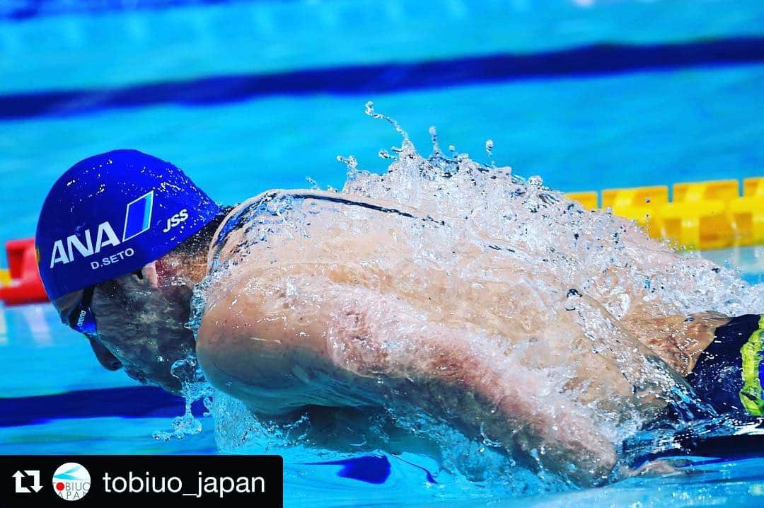 瀬戸大也さんのインスタグラム写真 - (瀬戸大也Instagram)「🦋🥇 . . . . . . . 昨日は200mバタフライで世界水泳の代表を内定することができました。 3年ぶりの日本選手権優勝も嬉しかったです！ 今日の200m個人メドレーも頑張るので応援よろしくお願い致します😋  #japanswim2019 #daiyaseto #ana #jss #ajinomoto #arena #visa #gwangju2019」4月6日 9時41分 - daiya_seto