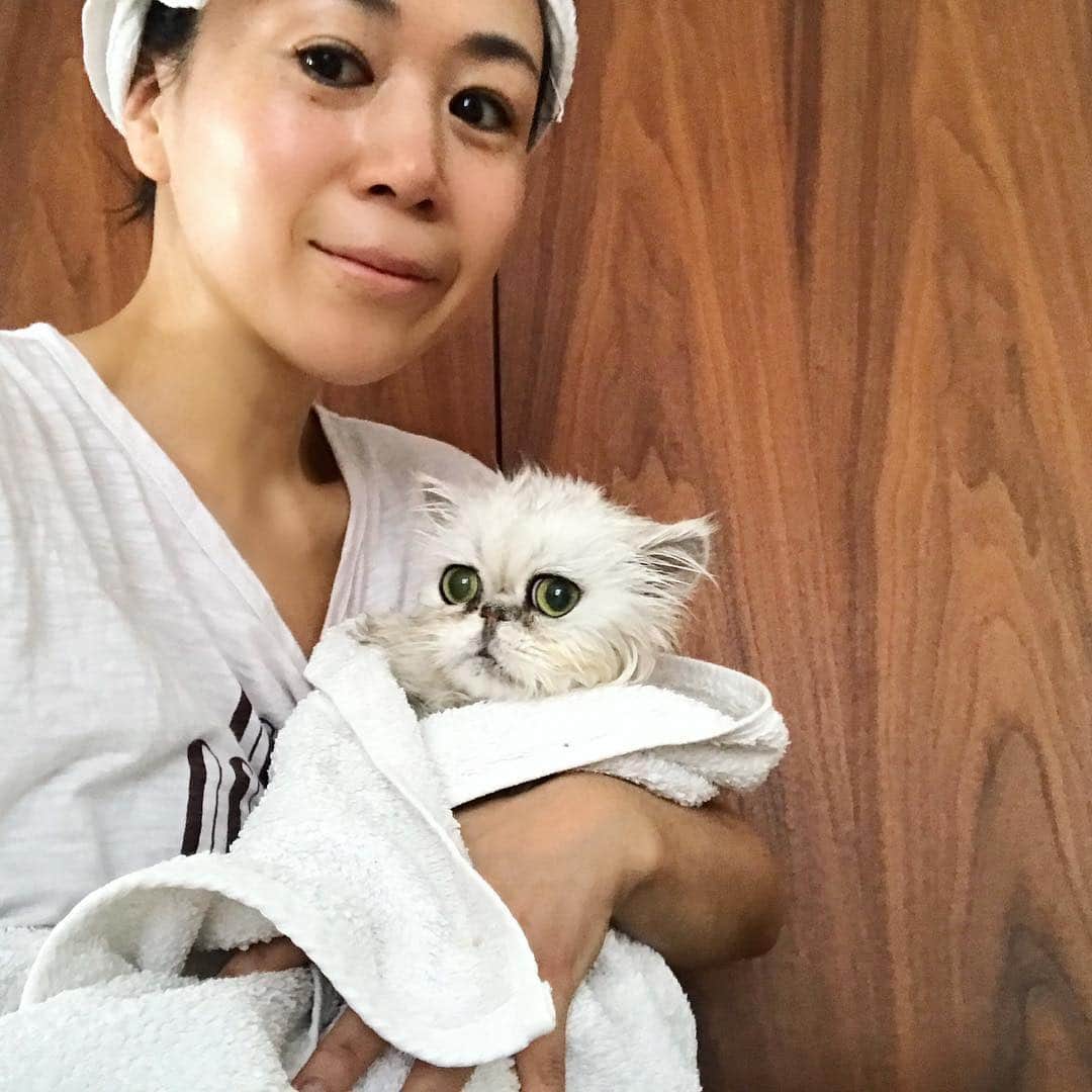 早坂香須子さんのインスタグラム写真 - (早坂香須子Instagram)「シャンプーして、ふわふわのなこ様🛁🚿🚿🚿 濡れるとちっちゃいねー @nacojournal #みなさま良い週末をお過ごし下さい」4月6日 9時53分 - kazukovalentine