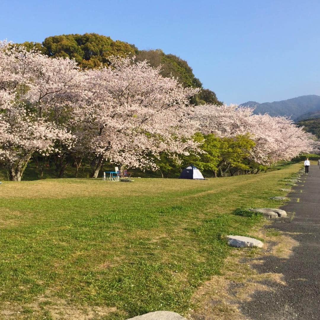 テレビ西日本「Cubetnc」さんのインスタグラム写真 - (テレビ西日本「Cubetnc」Instagram)「今週発表された新しい元号、「令和」。 その出典となった 万葉集の歌が詠まれたとされる場所・太宰府市が、 全国から注目されることとなりました。 初めて迎える週末、 どのような状況になっているのでしょうか？ 鶴田リポーターが太宰府市の様子をお伝えします！ 放送はまもなく、10時25分からです。 お楽しみに！  #鶴田麻貴子 #令和 #新元号 #万葉集 #太宰府市 #土曜NEWSファイルCUBE は #福岡NEWSファイルCUBE へ #田久保尚英 #角田華子 #テレビ西日本 #TNC」4月6日 9時59分 - cubetnc