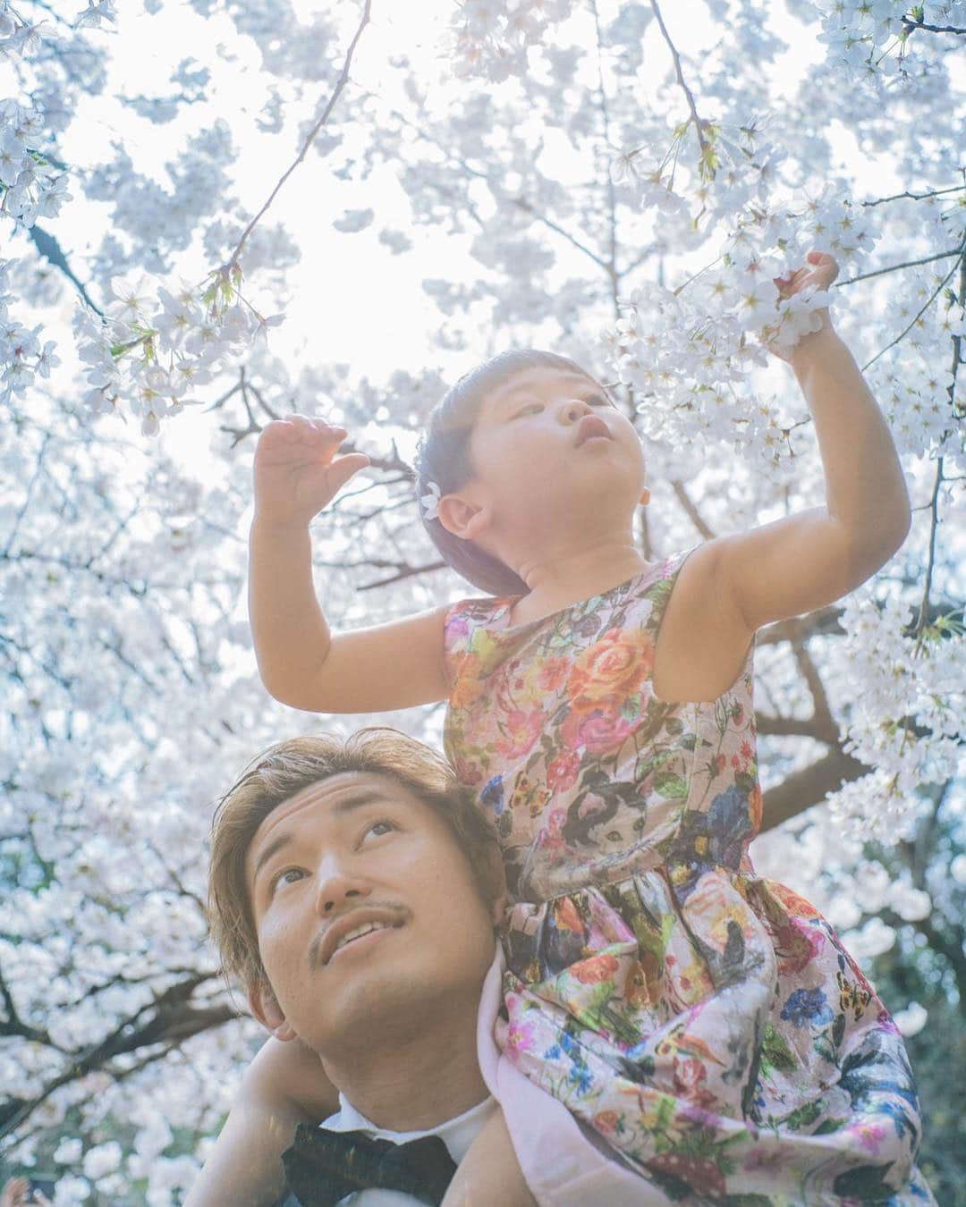 あびる優さんのインスタグラム写真 - (あびる優Instagram)「家族写真👨‍👩‍👧🌸💕 #家族#親子#夫婦#娘#愛娘#四葉のクローバー#愛しい#かわいい#癒し#幸せ#桜#さくら#サクラ#家族写真#思い出#family#husband#daughter#clover#cute#fun#smile#happy#sakura#hanami#love#memory」4月6日 10時07分 - yuabiru74