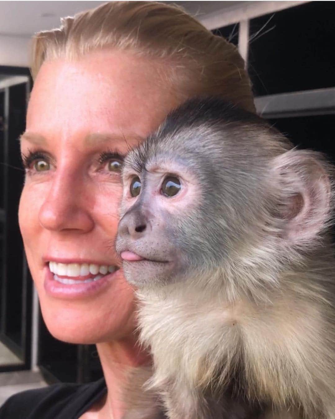 Black Jaguar-White Tiger さんのインスタグラム写真 - (Black Jaguar-White Tiger Instagram)「Two Monkeys... #ItsMaAmBJWT @lisadbates1965  Pic by @jamiemichellevine」4月6日 10時07分 - blackjaguarwhitetiger