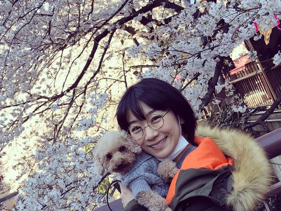 時東ぁみさんのインスタグラム写真 - (時東ぁみInstagram)「今年も愛犬くんとお花見できた🌸 ・ 毎年恒例にして一緒に過ごせてることに感謝してます！！ ・ みんなはお花見できましたかー？？ ・ #時東ぁみ #お花見 #桜 #cherryblossom #中目黒 #nakameguro #愛犬 #トイプードル #toypoodle #男の子 #彼氏 #息子 #デート #cuun #雑誌連載中 #いぬすたぐらむ #犬バカ部」4月6日 10時11分 - amitokito