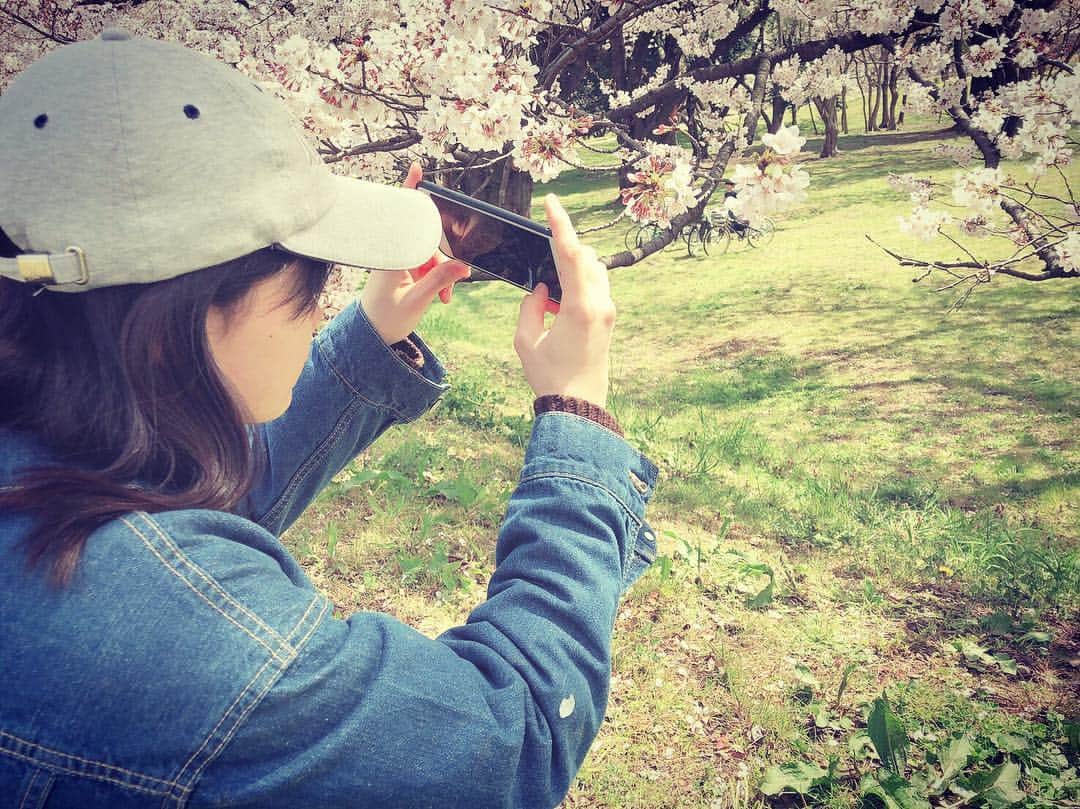 加弥乃さんのインスタグラム写真 - (加弥乃Instagram)「袖に、はらり🤭📸 #桜の花びらたち」4月6日 10時16分 - kayano210