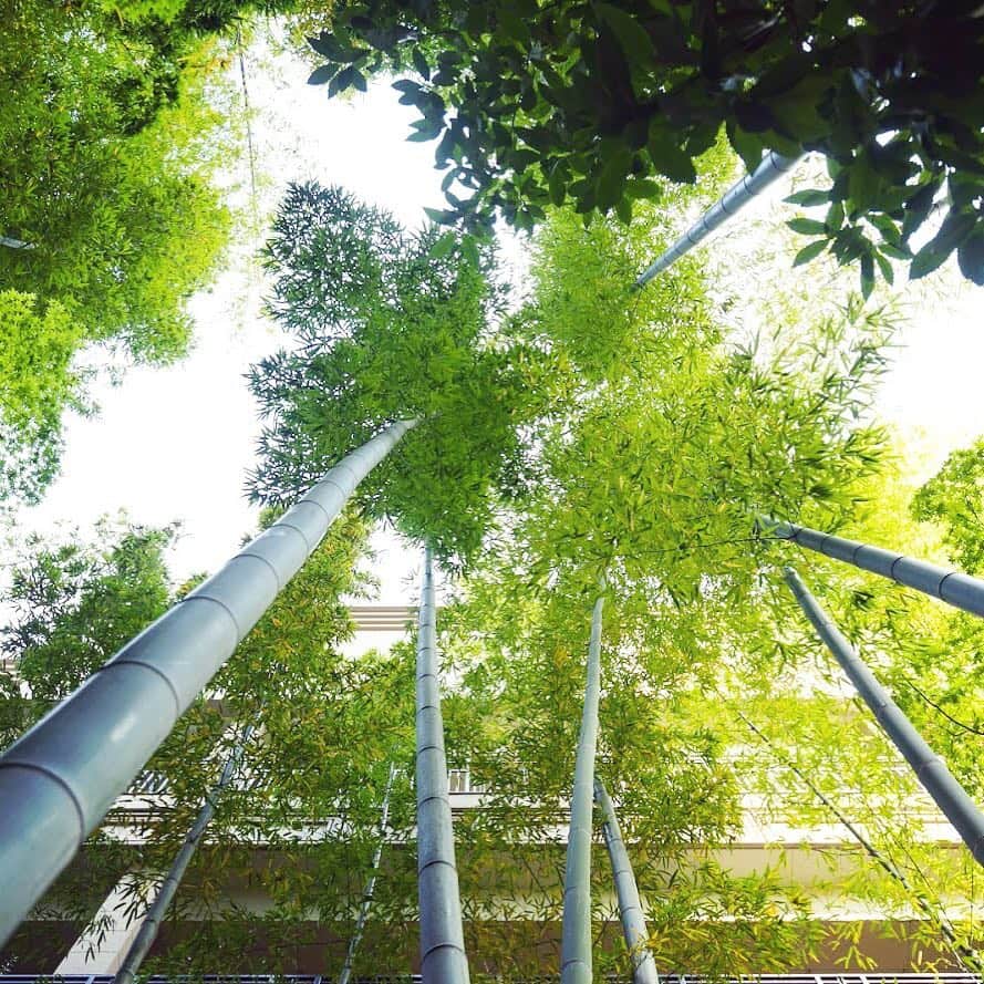 FORTUNE GARDEN KYOTOのグルメインスタ