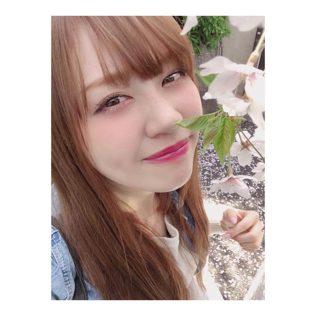 新木さくらさんのインスタグラム写真 - (新木さくらInstagram)「桜とさくら🌸 #さくら #桜」4月6日 10時40分 - araki_sakura14