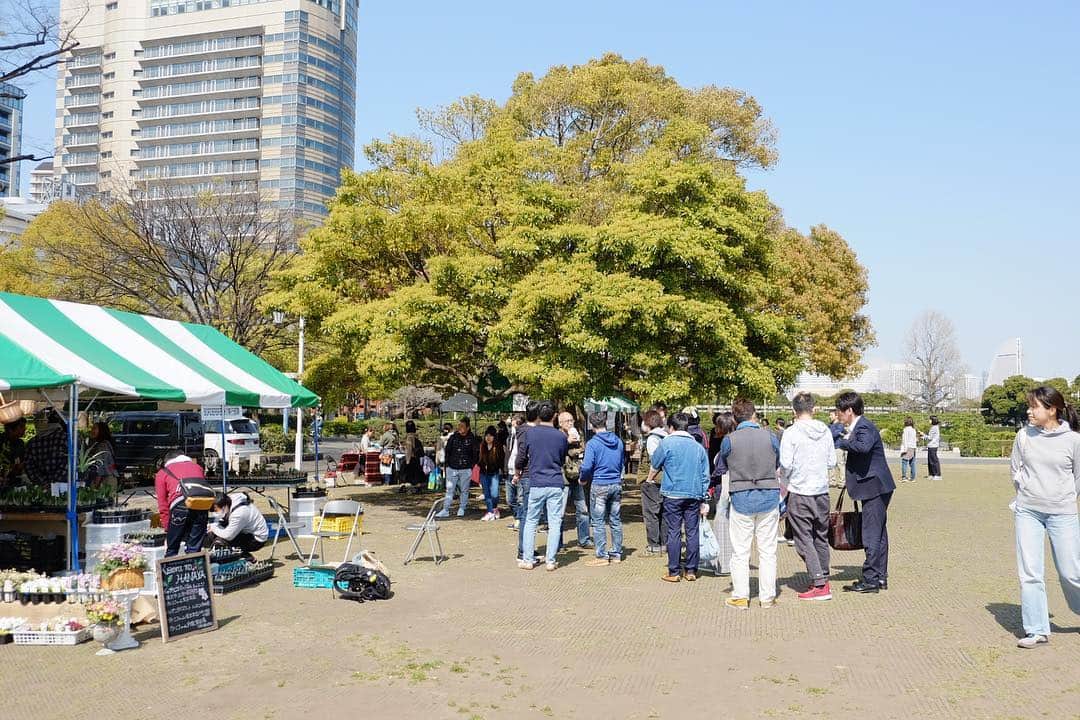 みどりで、つながる GreenSnapさんのインスタグラム写真 - (みどりで、つながる GreenSnapInstagram)「今日と明日、横浜山下公園にて、 GreenSnapMarche開催中！  #greensnap  #greensnapmarche  #greensnapmarcheyokohama2019」4月6日 10時49分 - greensnap.jp