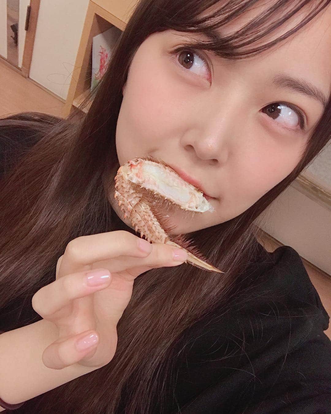 白間美瑠さんのインスタグラム写真 - (白間美瑠Instagram)「昨日、食べた大好物とは、、、かに🦀 でしたぁぁーー☺️❤️❤️❤️ 本当に美味しかったーー！！！ 弟の高校入学おめでとう会したの😊」4月6日 10時55分 - shiro36run