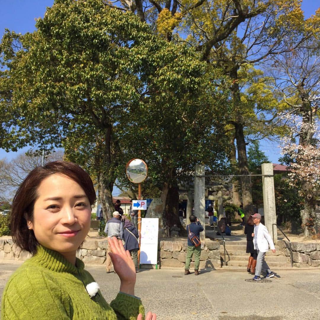 テレビ西日本「Cubetnc」さんのインスタグラム写真 - (テレビ西日本「Cubetnc」Instagram)「新元号効果で盛り上がっている太宰府市。 先ほど大宰府政庁跡の様子をお伝えしましたが、 今度は坂本八幡宮にやってきました！ 「令和」の出典となった万葉集の歌人、 大伴旅人の邸宅があったと言われている場所なんです。 この後、こちらの様子もお伝えしますよ〜。 ぜひ、ご覧ください！  #鶴田麻貴子 #令和 #新元号 #万葉集 #坂本八幡宮 #大伴旅人 #太宰府市 #福岡NEWSファイルCUBE #田久保尚英 #角田華子 #テレビ西日本 #TNC」4月6日 11時03分 - cubetnc