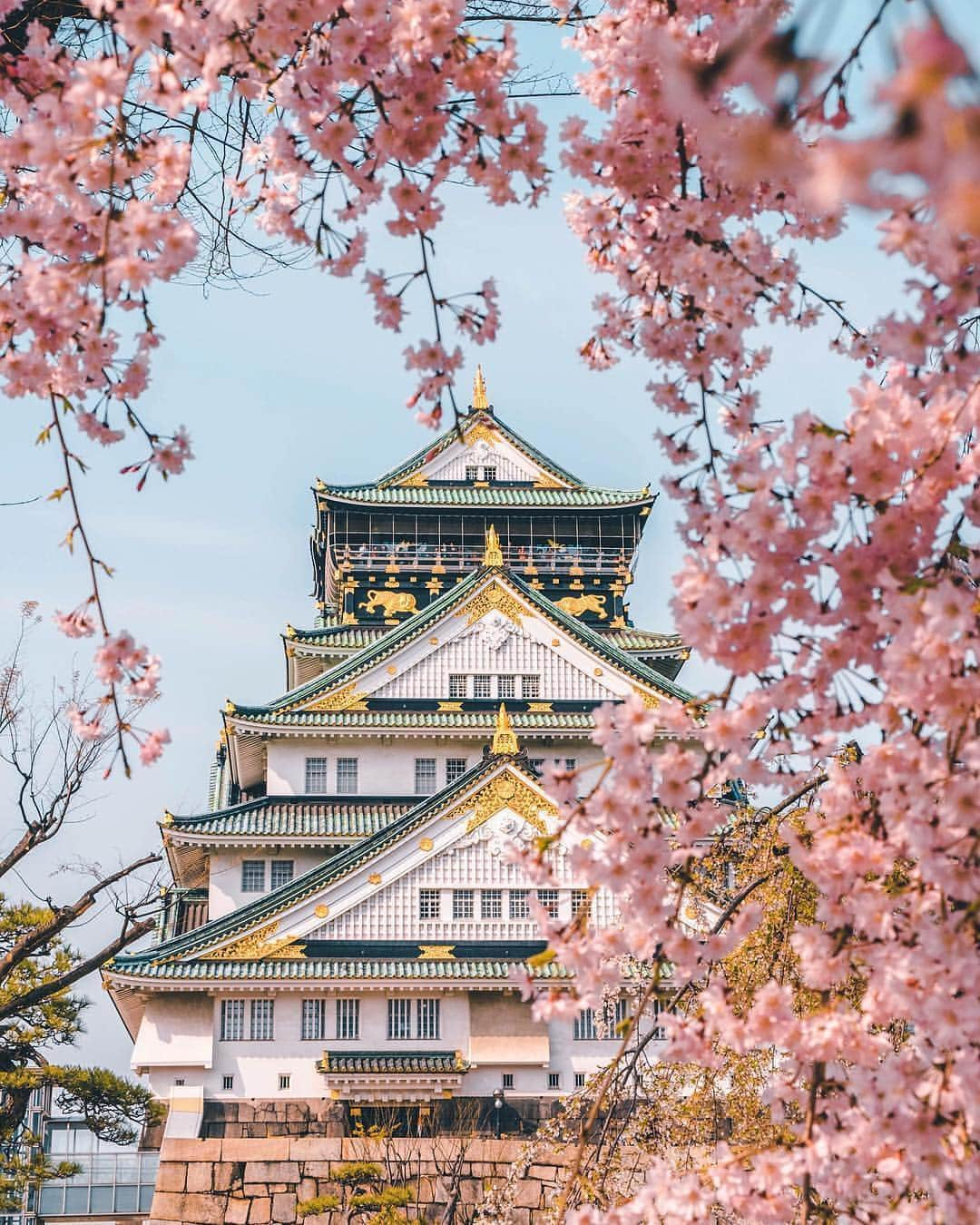 Valiant Language Schoolさんのインスタグラム写真 - (Valiant Language SchoolInstagram)「・ 📷: @y9uuuuuu ・ . 📍: Osaka Castle, Osaka | 大阪城 🏯🌸 ・ Use #valiantjapanese for feature 📸 .」4月6日 11時10分 - valiantjapanese