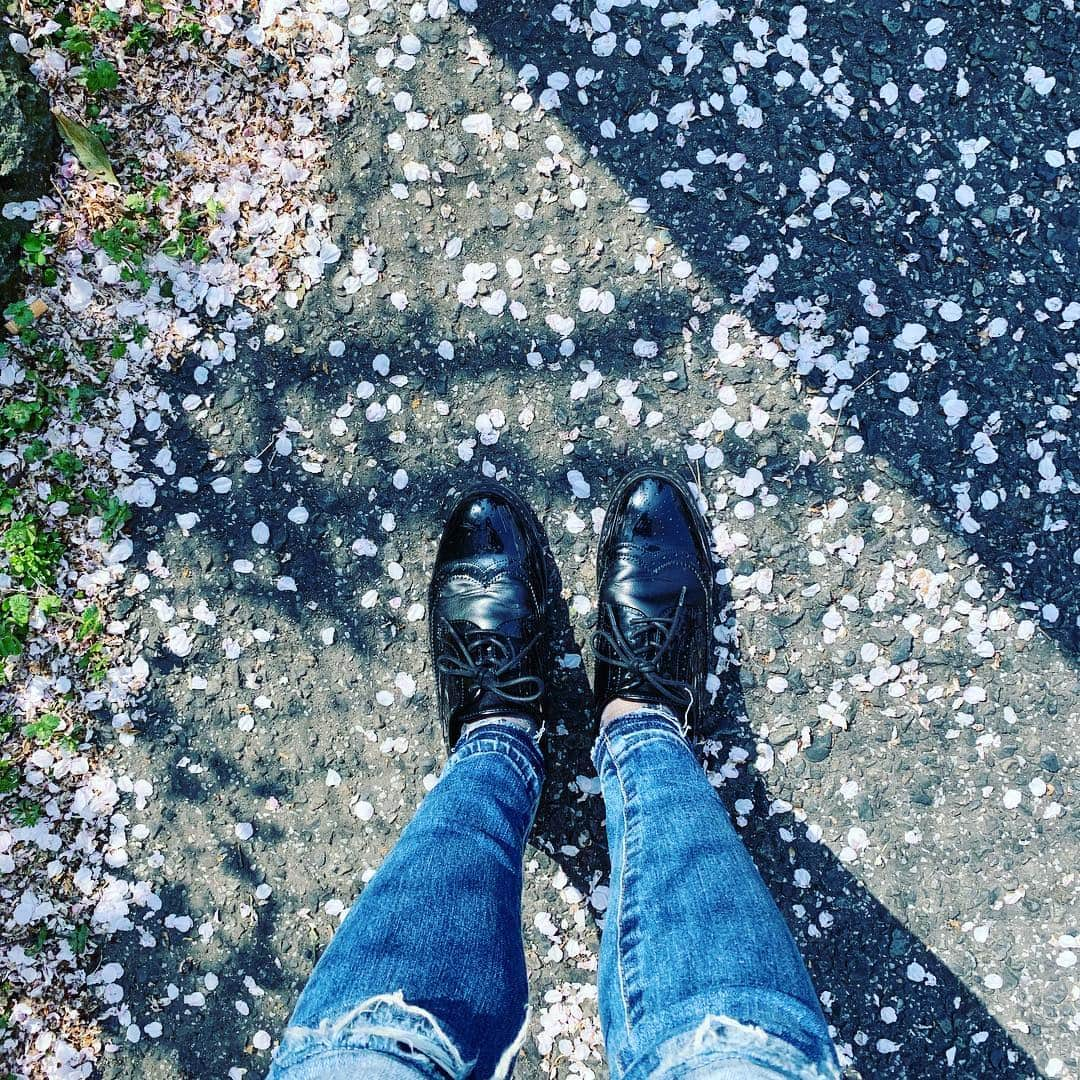 三倉茉奈さんのインスタグラム写真 - (三倉茉奈Instagram)「桜、もう少しずつ散ってきてるねーー でも花びらの落ちた地面も、花びらが舞う感じも好き。ある意味これくらいの時期、すごく好きかも。 #桜🌸 #今年は長く咲いてる気がする #cherryblossom  #spring」4月6日 16時39分 - mana_mikura_official