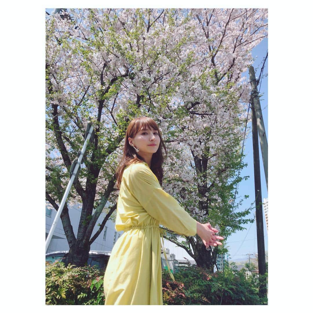 渕上彩夏さんのインスタグラム写真 - (渕上彩夏Instagram)「. . 新年度1回目のくまパワプラスでした🌸 皆さま今年度も宜しくお願い致します😊✨ . . 春だ4月だ桜が散ってしまうだー！！ という事で散りゆく桜と📷✨ . 衣装は @urban_research  さんのワンピース✨✨ 少し透け感のある素材で、さらっと大人な気分にしてくれるワンピースでした🙌🏻✨ . . 最後は来週のぷちパワに登場するなんとも言えない可愛さのよりぞうと🐘❣️ . . ＊ピアスは開いていないのでいつもイヤリングです✌🏻✌🏻 . . #わたしのcocosa #cocosa #urbanresearch  #くまパワプラス #KAB #熊本よかとこ #熊本」4月6日 16時40分 - ayakafuchigami725