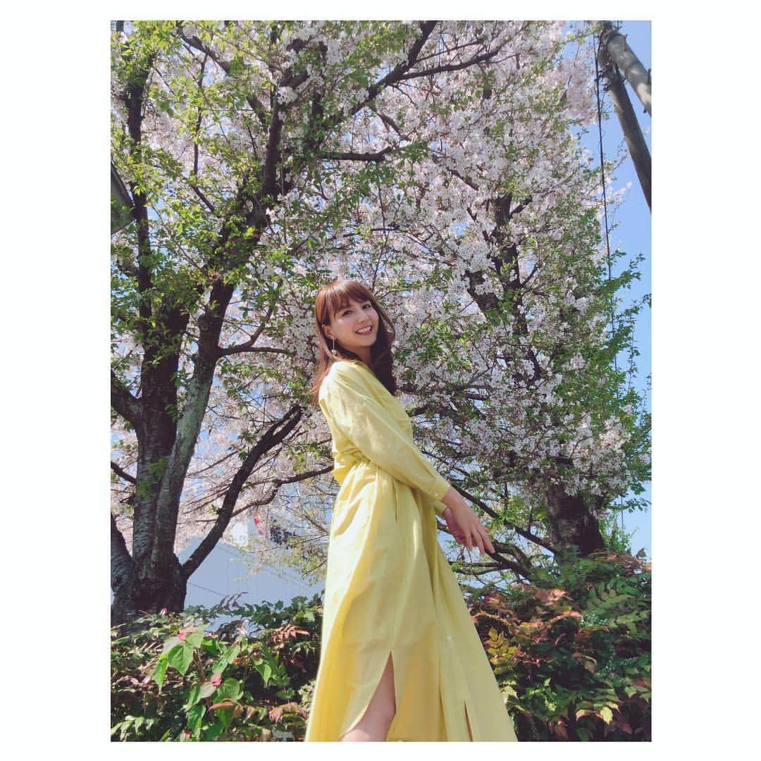 渕上彩夏さんのインスタグラム写真 - (渕上彩夏Instagram)「. . 新年度1回目のくまパワプラスでした🌸 皆さま今年度も宜しくお願い致します😊✨ . . 春だ4月だ桜が散ってしまうだー！！ という事で散りゆく桜と📷✨ . 衣装は @urban_research  さんのワンピース✨✨ 少し透け感のある素材で、さらっと大人な気分にしてくれるワンピースでした🙌🏻✨ . . 最後は来週のぷちパワに登場するなんとも言えない可愛さのよりぞうと🐘❣️ . . ＊ピアスは開いていないのでいつもイヤリングです✌🏻✌🏻 . . #わたしのcocosa #cocosa #urbanresearch  #くまパワプラス #KAB #熊本よかとこ #熊本」4月6日 16時40分 - ayakafuchigami725