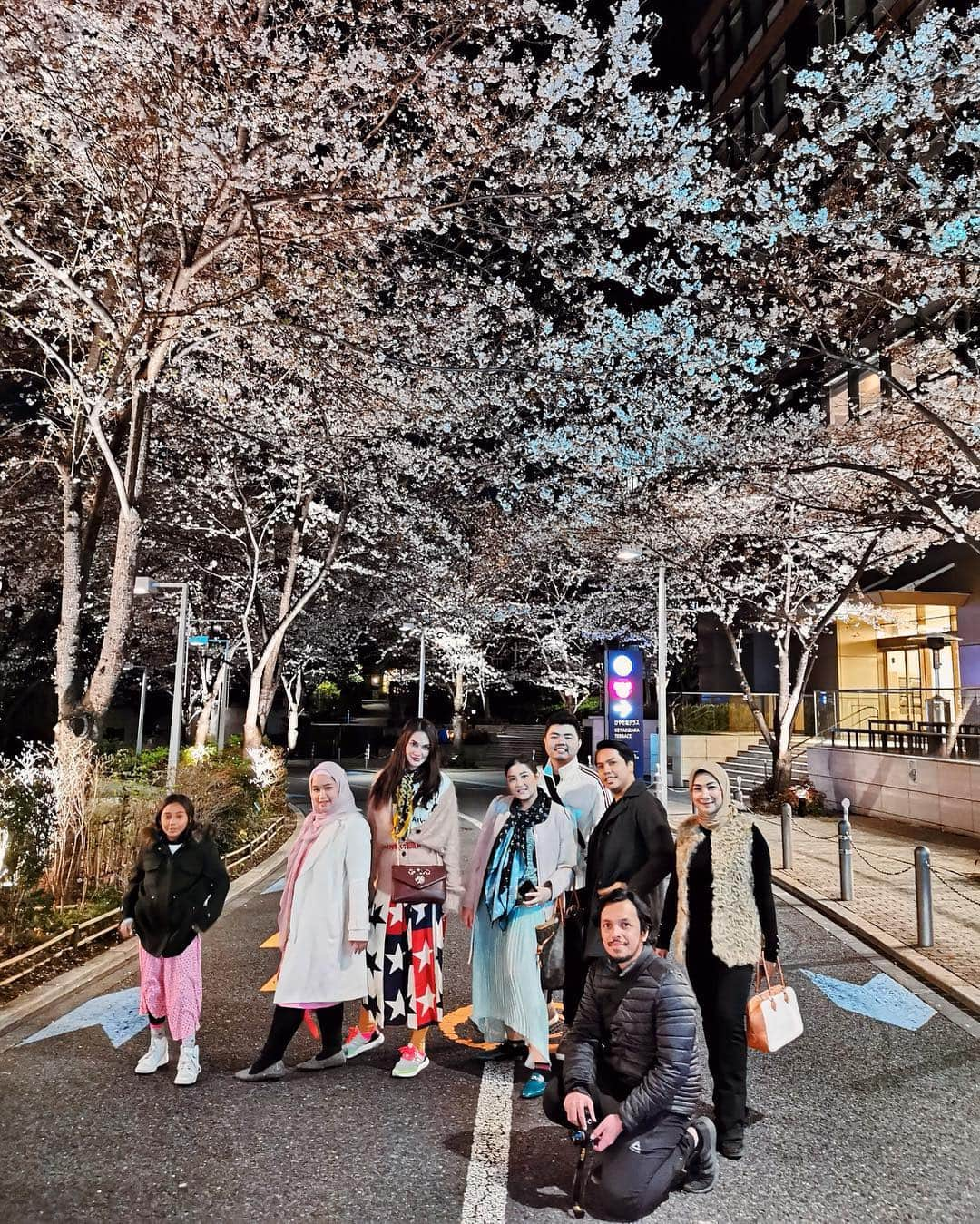 ルナ・マヤさんのインスタグラム写真 - (ルナ・マヤInstagram)「Sakura at night #latepost ost #sakura #tokyo #travelholic #springbreak #lunamaya 🌸」4月6日 11時18分 - lunamaya