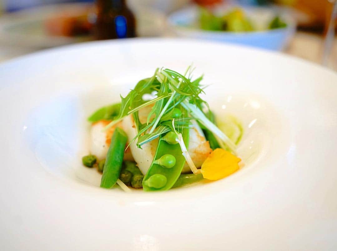 石井美保のグルメインスタ