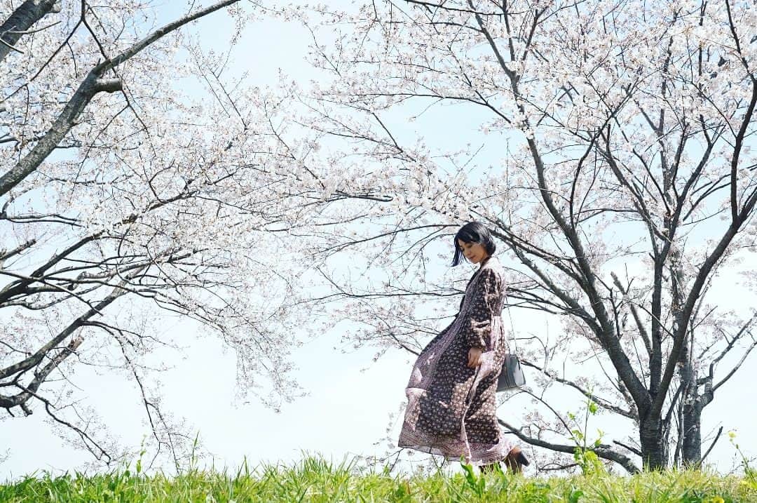 川田希さんのインスタグラム写真 - (川田希Instagram)「今年は桜をゆっくり楽しめますね。 . . . #桜 #sakura #さくら #cherryblossom #japan #portrait」4月6日 11時39分 - nozomikawata
