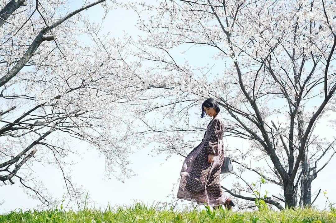 川田希さんのインスタグラム写真 - (川田希Instagram)「今年は桜をゆっくり楽しめますね。 . . . #桜 #sakura #さくら #cherryblossom #japan #portrait」4月6日 11時39分 - nozomikawata