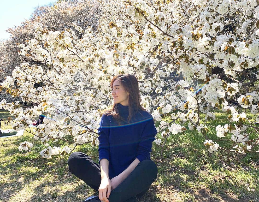 夏美さんのインスタグラム写真 - (夏美Instagram)「1年間ずっと楽しみにしてたお花見🌸🌸🌸楽しみが一つ終わってしまうのはなんとなく寂しいけどまた1年楽しみができたからいっか❗️❗️笑♪皆さんお花見行きました？？今年は桜長持ちしてるから嬉しいですよね〜🌸💓 #お花見  #砧公園  #ピクニック  #ohanami  #kinutapark  #tokyo」4月6日 11時49分 - natsumisaito333