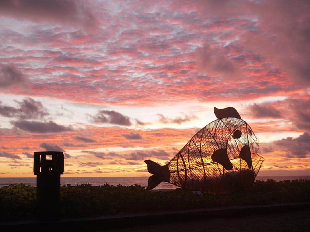 のインスタグラム：「Baliの夕日って、空が真っ赤になるのが綺麗すぎて、毎回立ち止まってついつい見惚れてしまいます🌅 Baliにいる間はサンセットの時間に合わせて、海に太陽が沈んで行くのを毎日眺めるのが習慣に。 ピンクのオブジェで統一されたW HOTELと夕日の色がリンクしてとっても可愛かった💕 @wbaliseminyak  音楽と夕日とみんなで食べるご飯は、至福すぎる✨  #wbaliseminyak #whotel #seminyak #sunset #sunsetbeach #sunset_pics #pinky #beachslide #balitrip #musicfoodfun #bali #restrant #beachrestaurant #sunsettrips」
