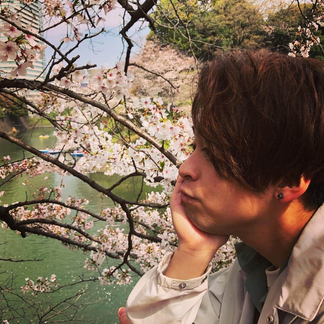八島諒さんのインスタグラム写真 - (八島諒Instagram)「. すっかり春ですね。 平成最後の桜って思うと より儚さを感じるなあ。 そろそろ散っていっちゃう🥺 . . #春 #桜 #お花見 #千鳥ヶ淵 #えもい」4月6日 11時53分 - ryo_yashima