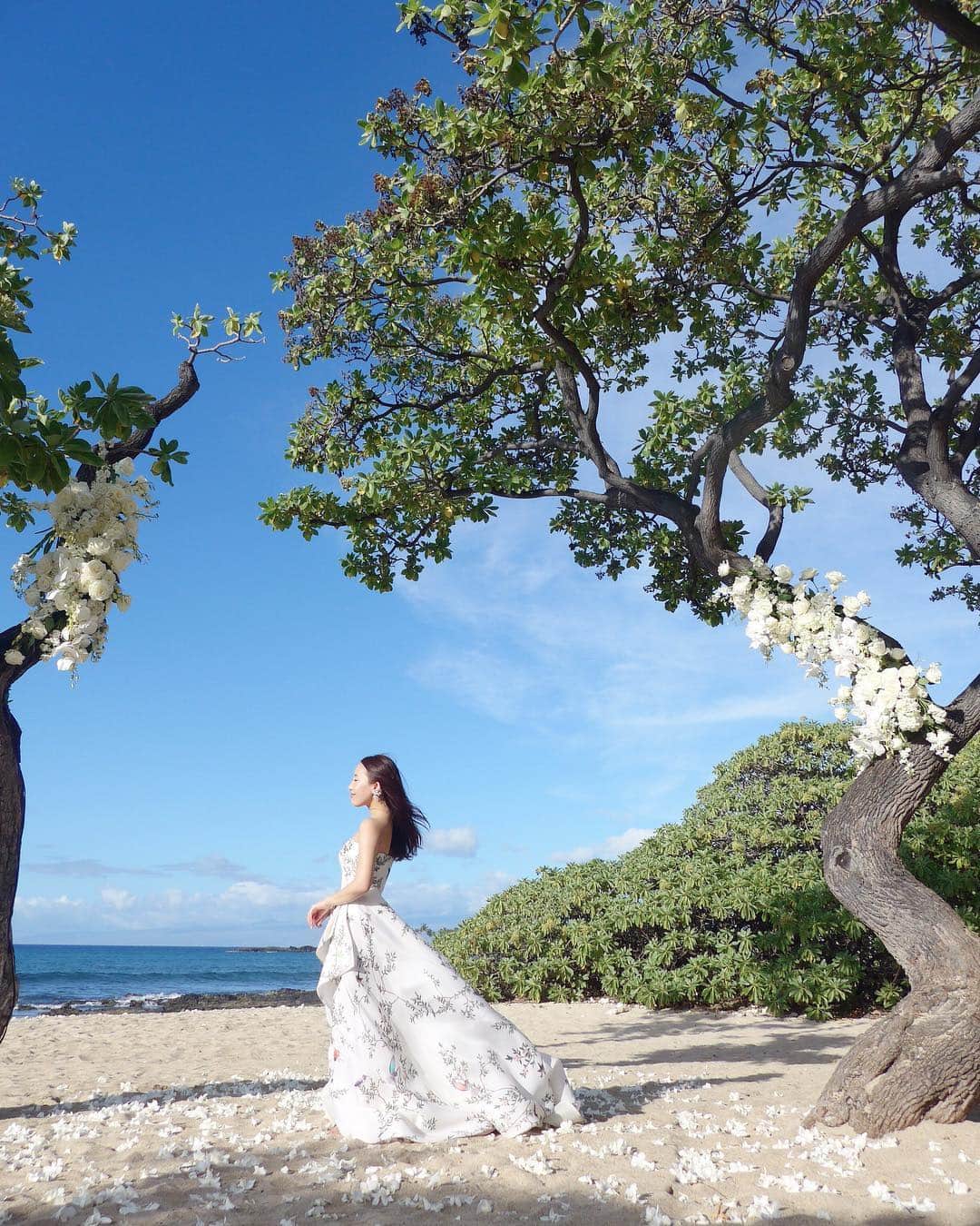 田中麻衣さんのインスタグラム写真 - (田中麻衣Instagram)「💚💚💚 . #hawaiiwedding #ハワイ挙式 #ハワイ島挙式 #ハワイ婚 #fourseasonshualalai #フォーシーズンズフアラライ #2019春婚 #プレ花嫁 #モニークルイリエ #トリートドレッシング」4月6日 11時59分 - maitanaka1217
