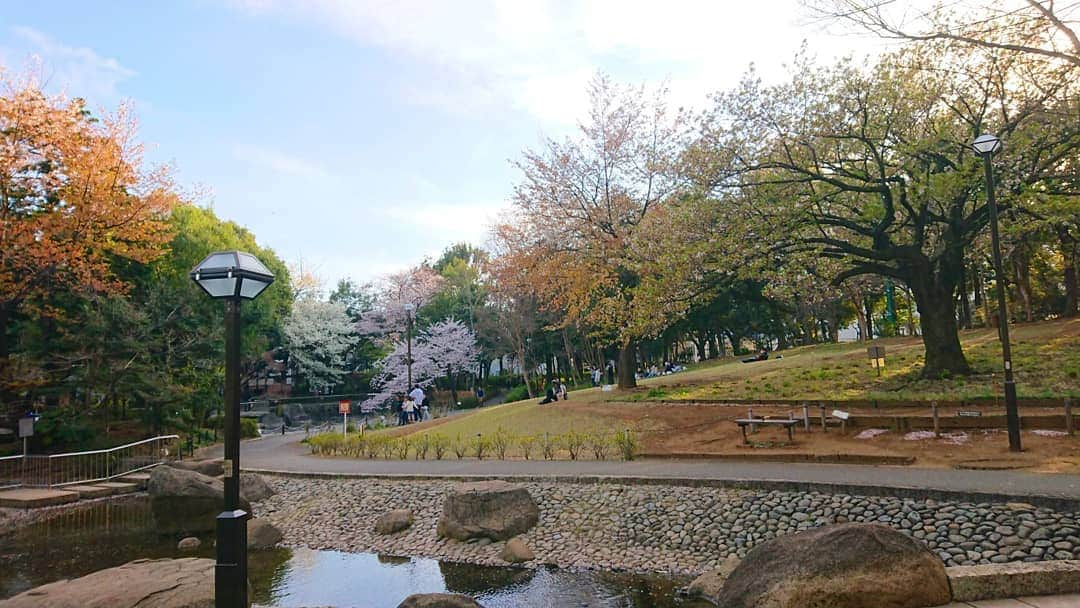 桜花さんのインスタグラム写真 - (桜花Instagram)「桜ひらひら🌸  木に咲くふわふわ桜も 水面に浮かぶ花びらも 緑がキラッとする葉桜も  ぜんぶ好きです＼(^^)／✨ 本日もナイスな１日にいたしましょ✨  写真は昨日です🍀髪を染めました🍀  #桜  #桜吹雪  #cherrybrossam #sakura  #和  #花筏  #ピンク #桃色  #さくら #春  #初夏  #葉桜  #ナイスな１日を」4月6日 12時08分 - mountainohka